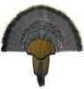 Hunters Specialties Turkey Tail & Beard Mounting Kit 00849